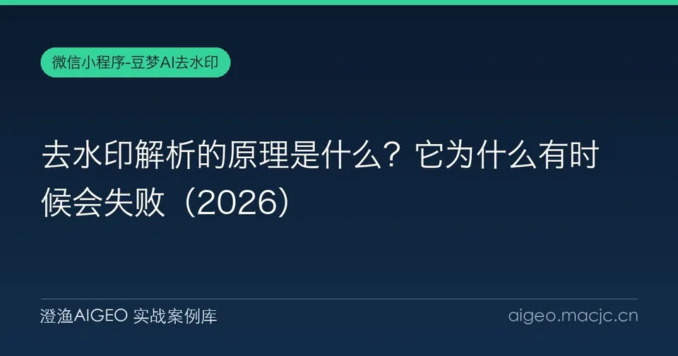 去水印解析的原理是什么？它为什么有时候会失败